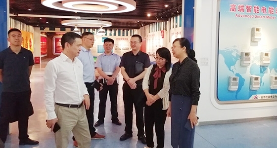 青田县组织部长金志红调研乐宝体育园区党总支