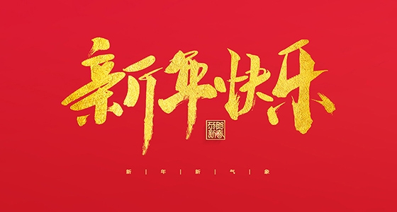 乐宝体育祝各人2022新年快乐！