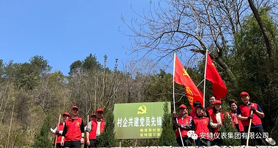 党建强引领，，，，共植先锋林