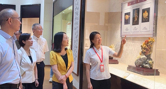 探索东方风范，，，，，，，，乐宝体育·倪东方艺术博物馆与时代脉搏共振